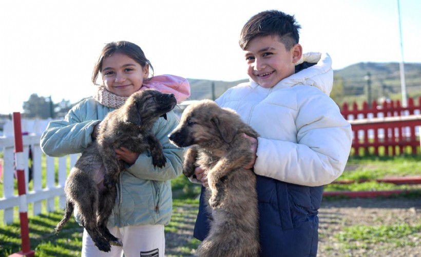 Doğa ve patili dostlar şifa dağıtıyor