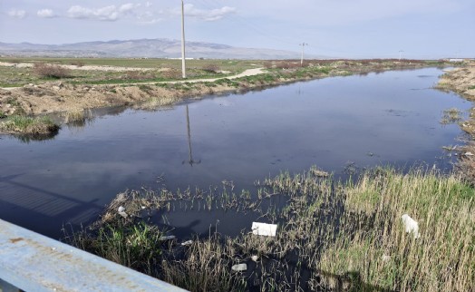 Eber Gölü projesi AB'den onay alamadı