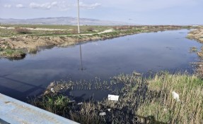 Eber Gölü projesi AB'den onay alamadı