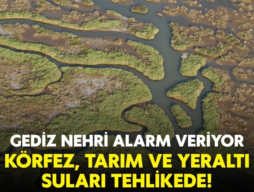 Gediz Nehri alarm veriyor: Körfez, tarım ve yeraltı sularını tehlikede
