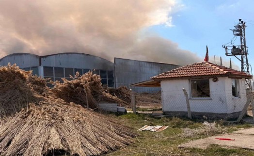Kamış ürünleri deposunda şüpheli yangın!