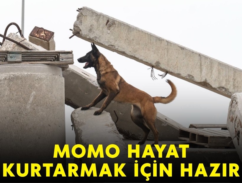 Momo hayat kurtarmak için hazır!