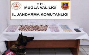 Muğla'da uyuşturucu operasyonları; 3 tutuklama