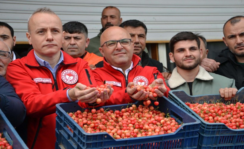 Sezonun ilk kirazı 6 bin TL'den satıldı