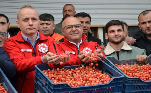 Sezonun ilk kirazı 6 bin TL'den satıldı