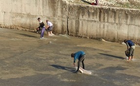 Taşan barajdan çuval ve kasayla balık yakaladılar