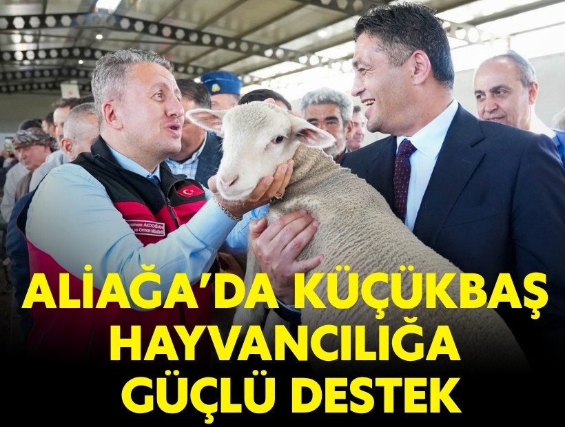 Aliağa’da küçükbaş hayvancılığa güçlü destek: 3’üncü etap damızlık dağıtımları gerçekleştirildi