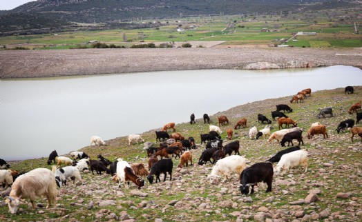 Büyükşehir'den kuraklığa karşı hamle: Hedef 100 gölet!