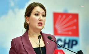 CHP'li Gökçe Gökçen: 'CHP Ankara İl Başkanı olduğu için tutuklandı'