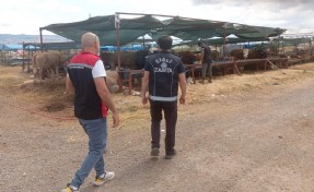 Çiğli’de kurban bayramı denetimleri aralıksız sürüyor