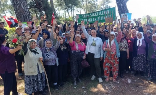 Danıştay'dan Akbelen için kritik karar: Acele kamulaştırmaların yürütmesi durduruldu