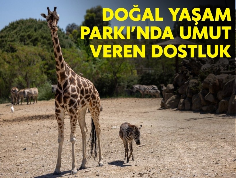 Doğal Yaşam Parkı’nda umut veren dostluk