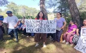 Esra Işık Akbelen'de mücadeleye devam ediyor!