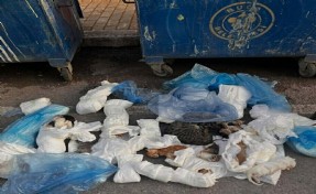 İzmir'de 33 kedinin katledilmesinde yeni gelişme!
