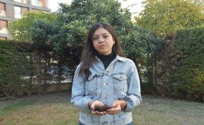 İzmir'de doktoru darp eden kadına ödül gibi ceza! 24 taksitle ödeyecek...