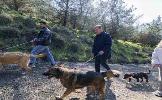 İzmir’de sokak hayvanları için yeni yaşam kampüsü