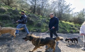 İzmir’de sokak hayvanları için yeni yaşam kampüsü