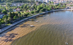 İzmit Körfezi’nde deniz kahverengine büründü