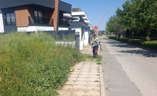 Menderes’te ot seferberliği