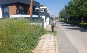 Menderes’te ot seferberliği