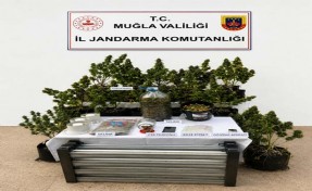 Muğla'da bir haftada 9 kişi uyuşturucudan tutuklandı
