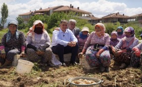 Tugay'dan yol ve asfalt sözü: Haziran'da Kiraz'da seferberlik başlıyor!