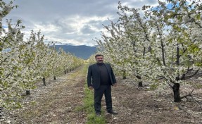 Zirai don endişesi yaşayan üreticiler rahat nefes aldı