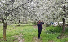 Zirai don ve doğal afetlere karşı saha kontrolü