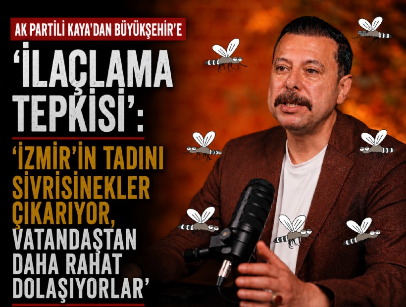 AK Partili Kaya'dan Büyükşehir'e ilaçlama tepkisi: 'İzmir'in tadını sivrisinekler çıkarıyor'