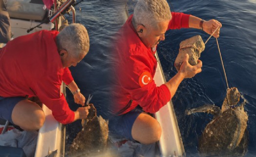 Ayağına parke taşı bağlanmış deniz kaplumbağasını kurtardılar
