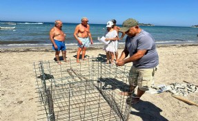 Aydın’da ikinci caretta caretta yuvası da Didim’de tespit edildi