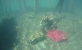 Bodrum'da denizden 250 kilogram çöp çıktı