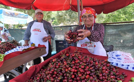Bornova’da Kiraz Festivali coşkusu Beşyol’u saracak