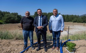 Bornova’da atıl topraklar hayat buluyor: Ürünler ücretsiz dağıtılacak