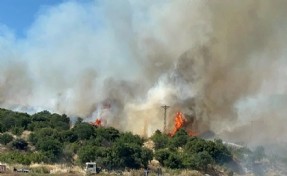 Çanakkale'de bozuk ormanda yangın
