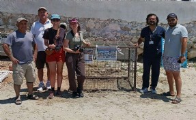 Caretta Carettalar Aydın'ı yuva olarak seçmeye başladı