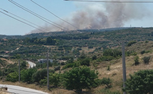 Çeşme’de yangın alarmı! Alevler makilik alana sıçradı