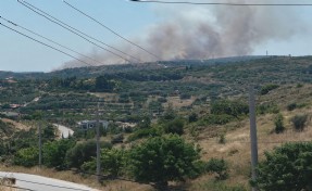 Çeşme’de yangın alarmı! Alevler makilik alana sıçradı