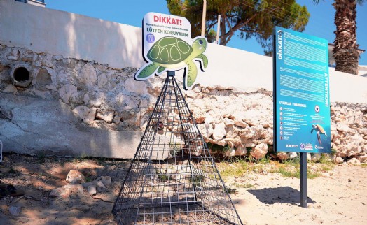 Didim'de caretta caretta yuvaları koruma altına alındı