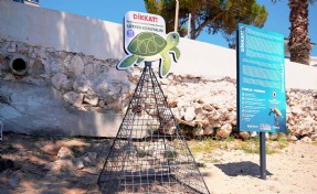Didim'de caretta caretta yuvaları koruma altına alındı