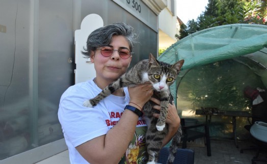Erkek sanılan hermafrodit kedi Cengo doğurdu!