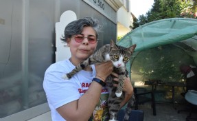 Erkek sanılan hermafrodit kedi Cengo doğurdu!