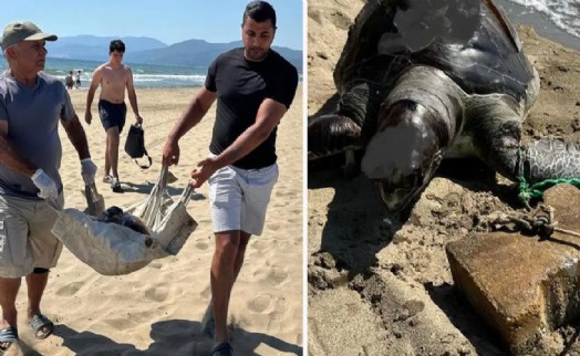 İzmir’de vahşet! Yüzgecine parke taşı bağlanan caretta caretta ölü bulundu