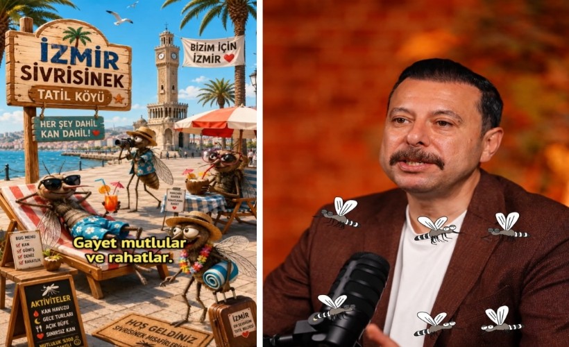 AK Partili Kaya'dan Büyükşehir'e ilaçlama tepkisi: 'İzmir'in tadını sivrisinekler çıkarıyor'