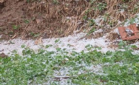 Manisa'da dolu yağışı tarım alanlarına zarar verdi