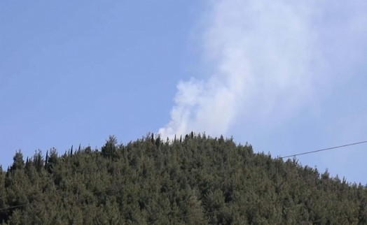 Manisa'da korkutan orman yangını