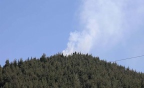 Manisa'da korkutan orman yangını