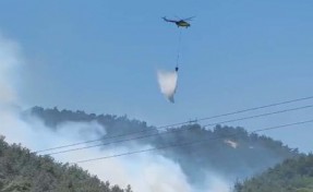 Manisa'da korkutan orman yangını