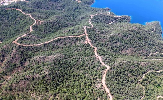 Muğla'da orman yangınlarına karşı önlemler artırılıyor