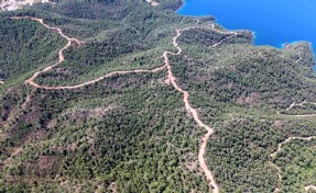 Muğla'da orman yangınlarına karşı önlemler artırılıyor